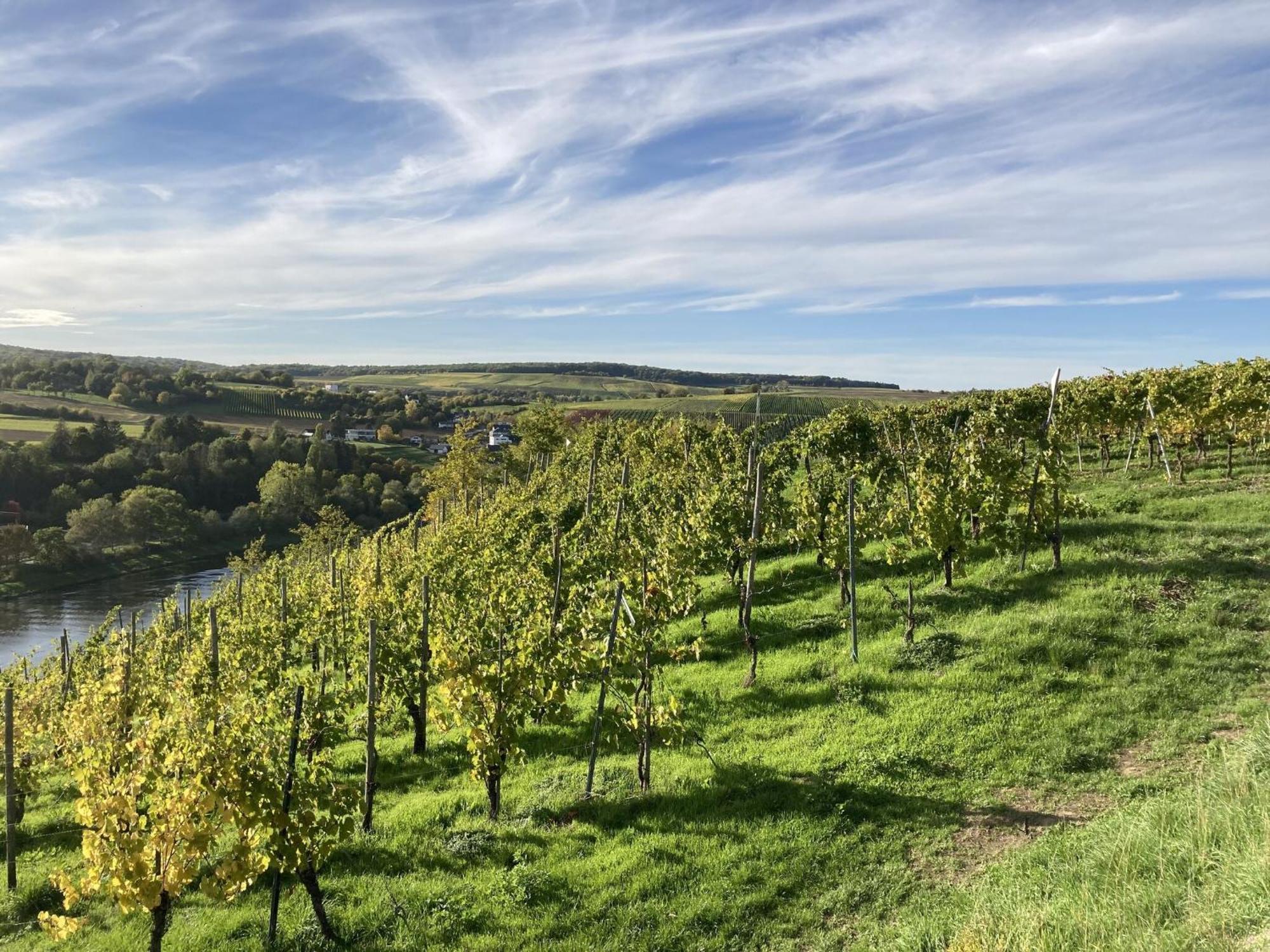 Comfortable Apartment In Ediger Eller Eifel Sankt Aldegund Luaran gambar